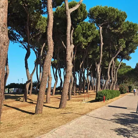 Vakantiehuis Michela-2 By Interhome Pineto