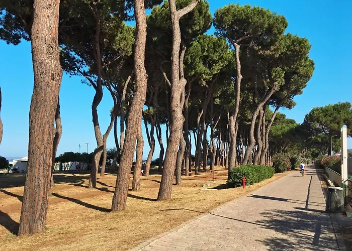 Casa vacanze Michela-2 By Interhome Pineto